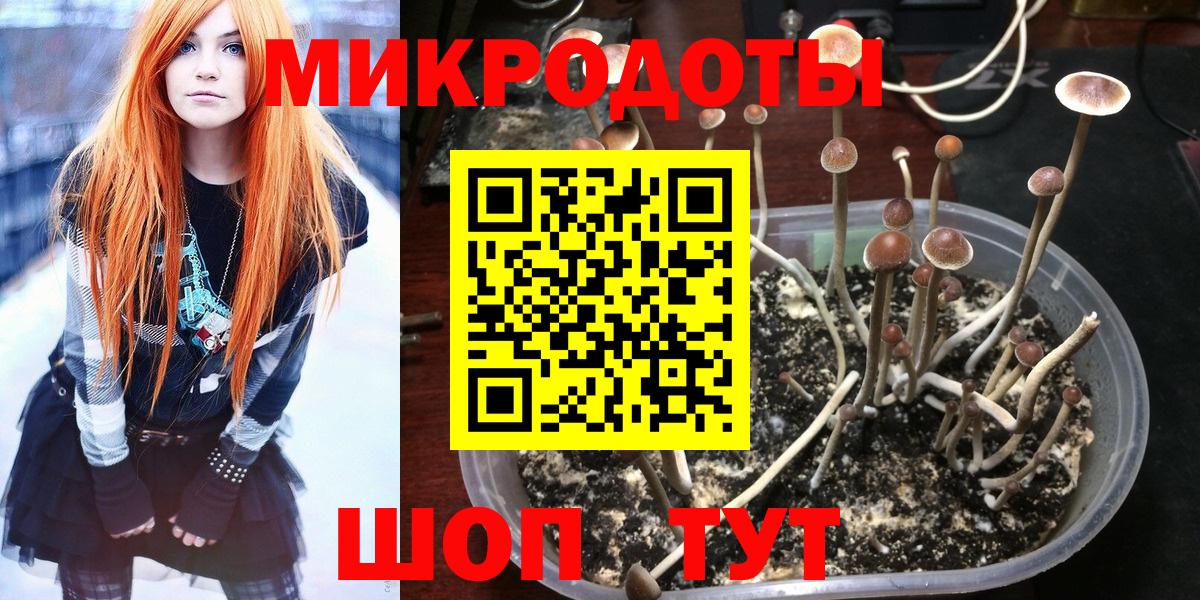 Галлюциногенные грибы мухоморы Когалым