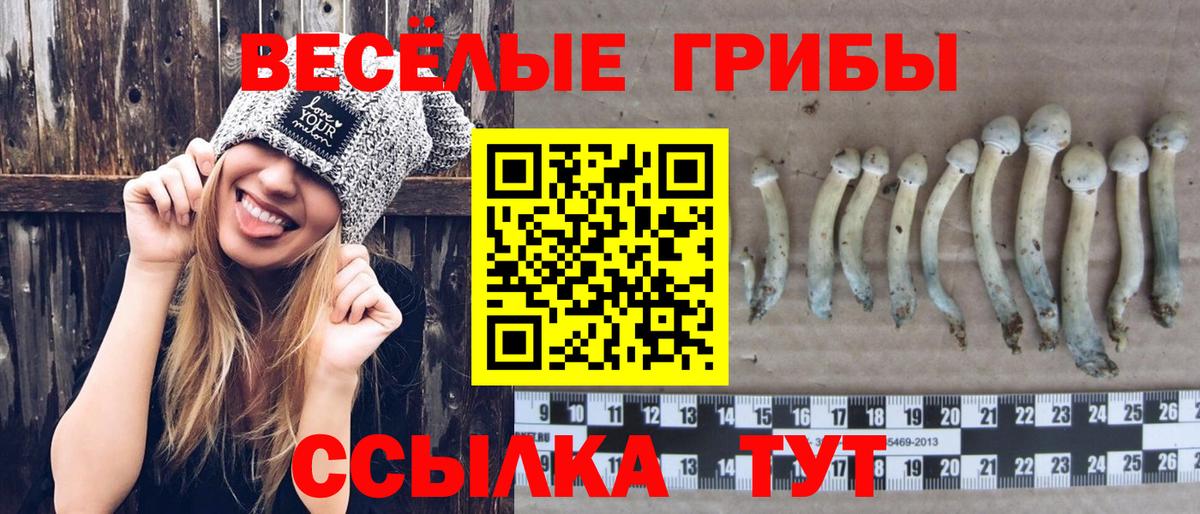 Галлюциногенные грибы Magic Shrooms  Вход с VPN  Когалым 